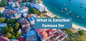 what is Zanzibar famous for